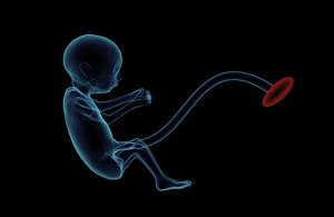 臍の緒が繋がった赤ちゃんの横向きのイメージ